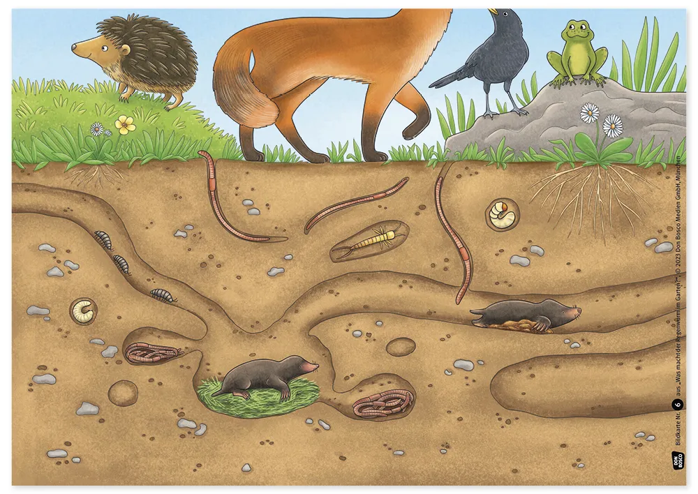 Bildergeschichten-Karten "Was macht der Regenwurm im Garten?", 12-tlg.