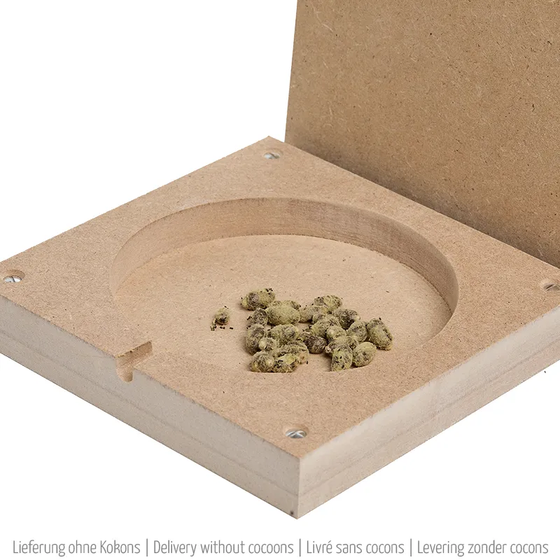 Beobachtungs-Schlupfkammer für Wildbienen