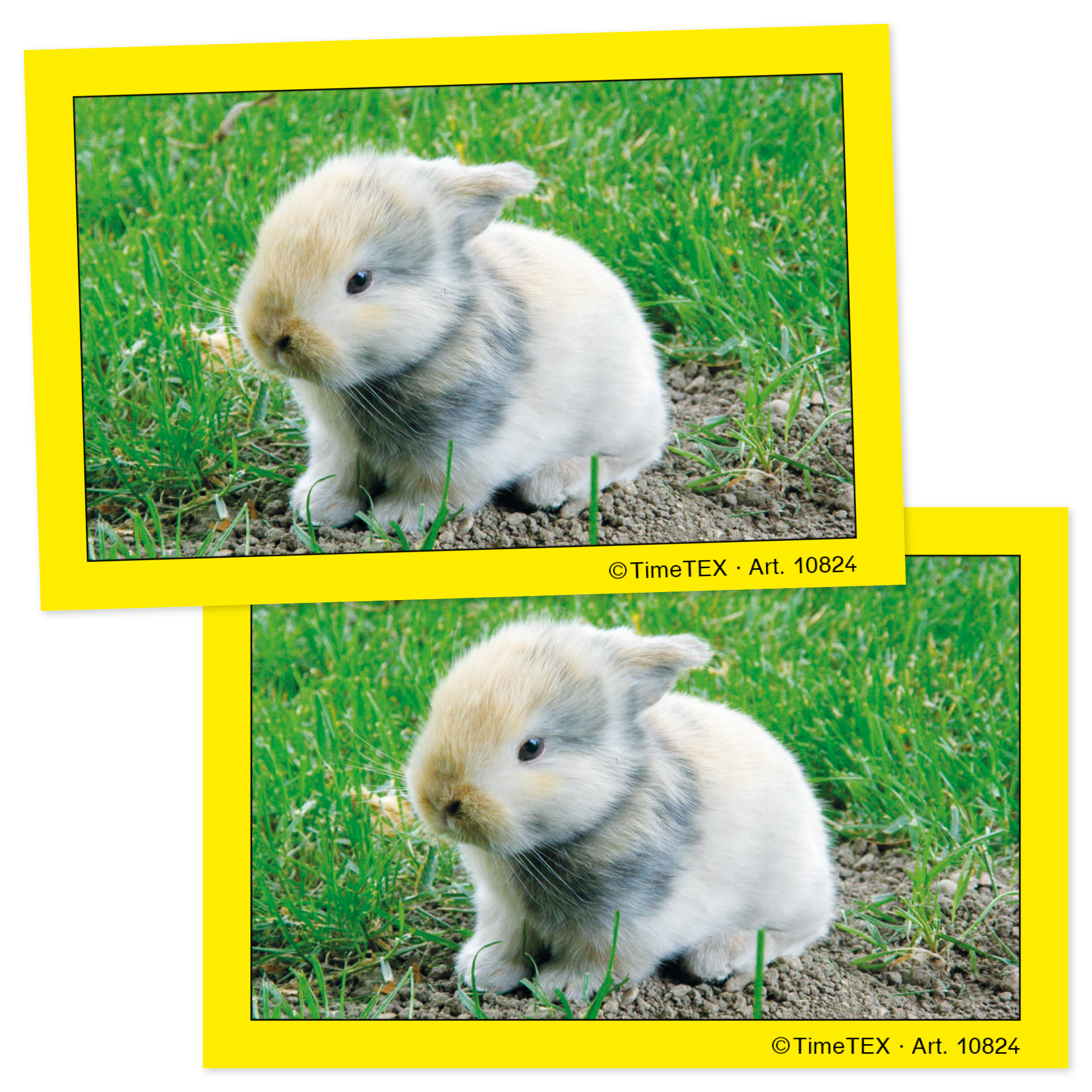 TimeTEX par utbildningskort, 35 st. om