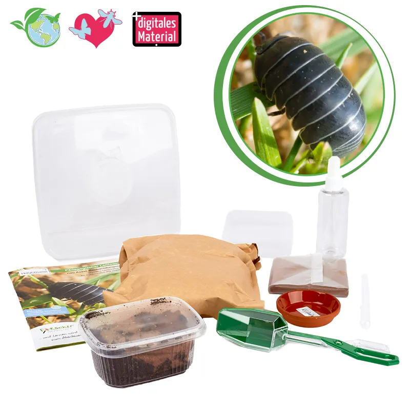 Zuchtset "Asseln", 10-tlg.