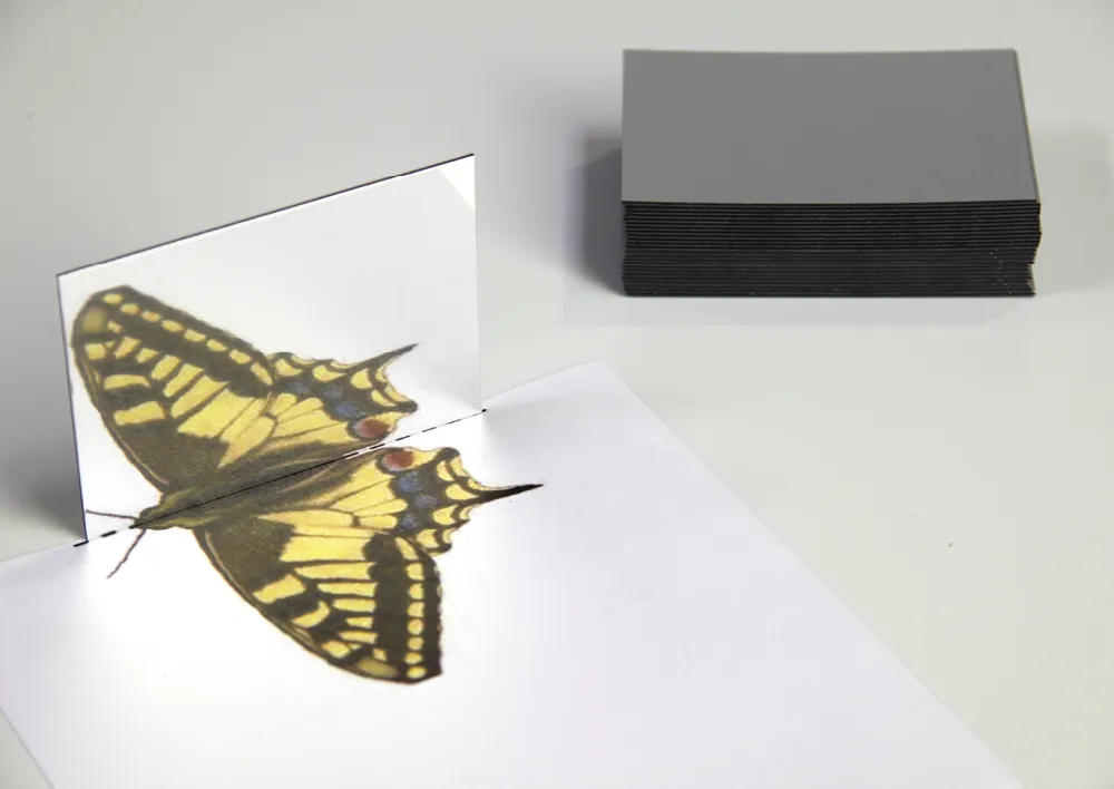 Geometrie-Handspiegel Klassensatz, 25-tlg.