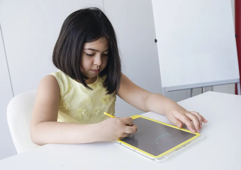 Digitale Schiefertafel TD "A4-XS", transparentes Display, mit Filz-Hülle