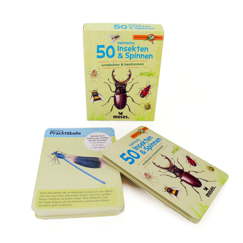 Hagemann 50 heimische Insekten & Spinnen