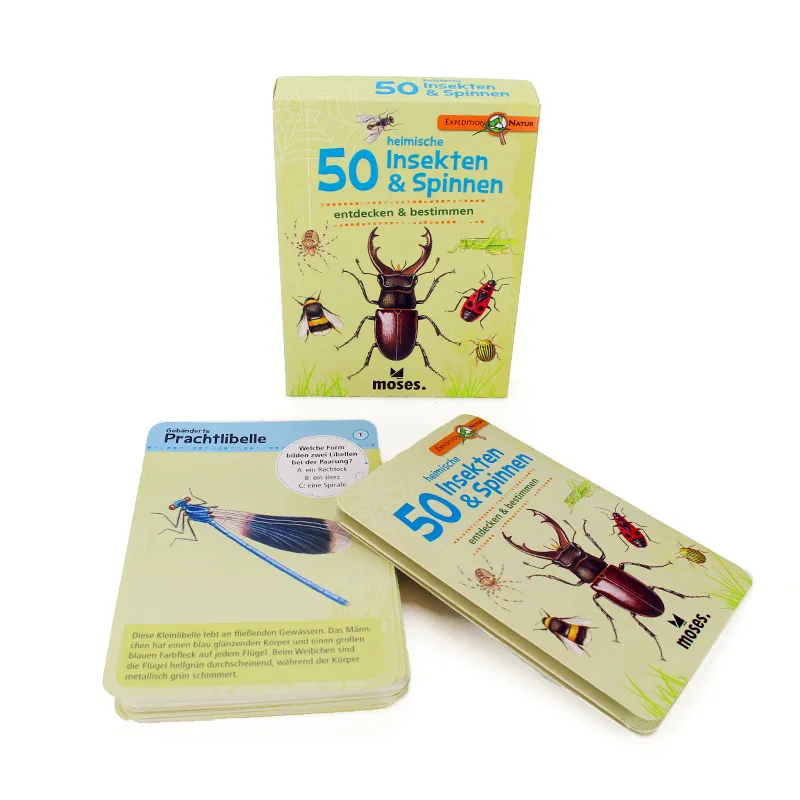 Kartenspiel "Insekten & Spinnen, entdecken & bestimmen"