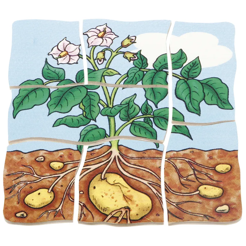 Schichten-Puzzle "Kartoffel", 30-tlg.
