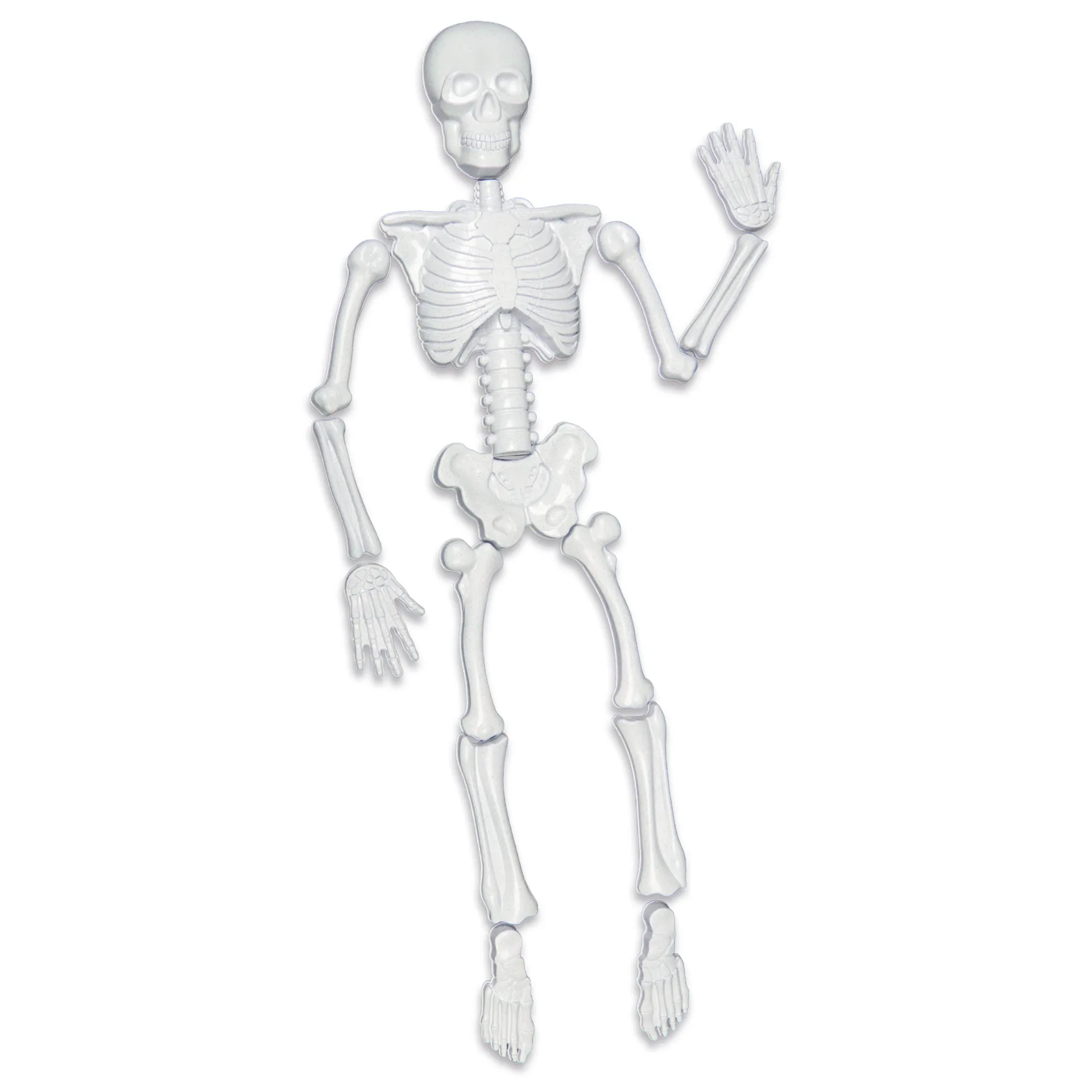 Sandkasten-Formen "Skelett", 15-tlg.