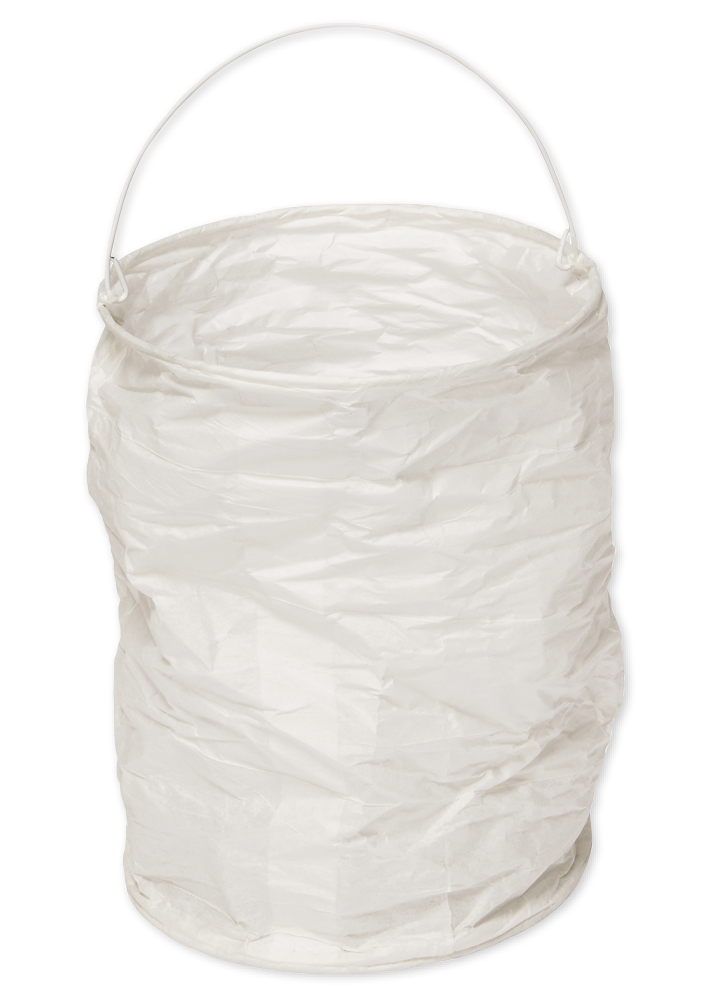 Hagemann Papier-Lampions zylindrisch, 6 Stück