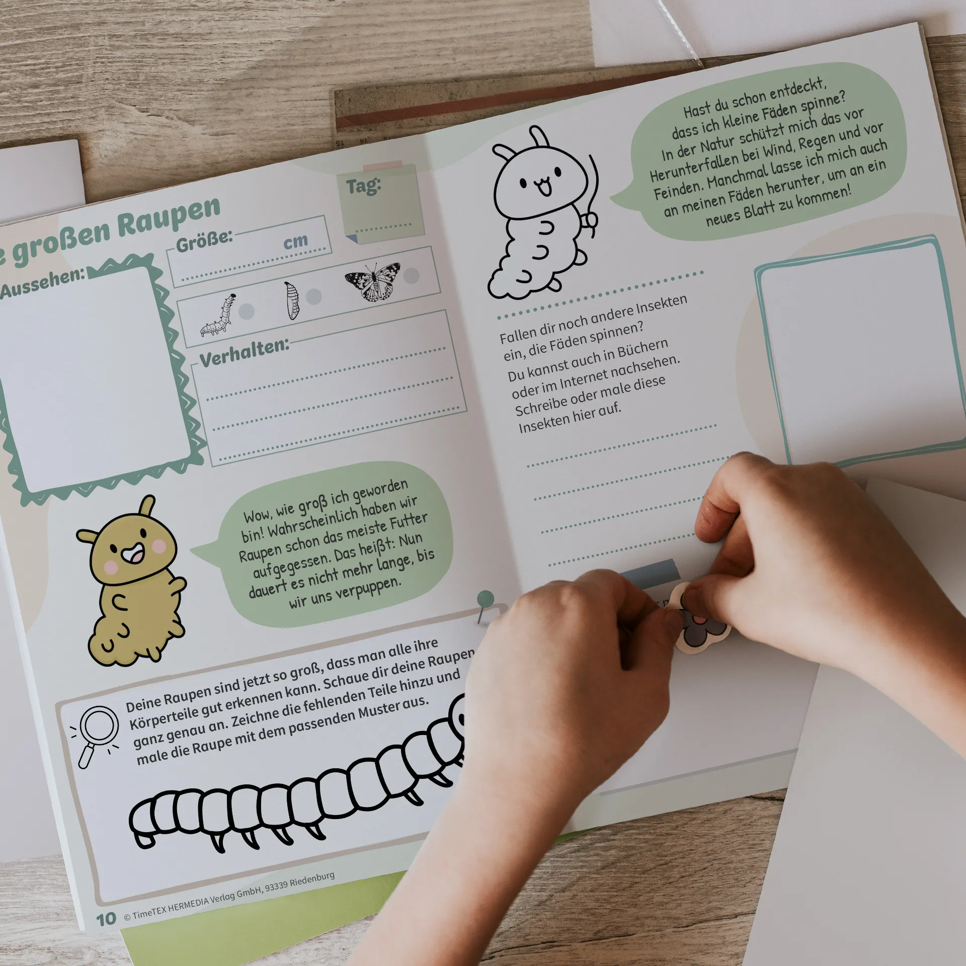 Hagemann Schmetterlings-Tagebuch A5, 36 Seiten