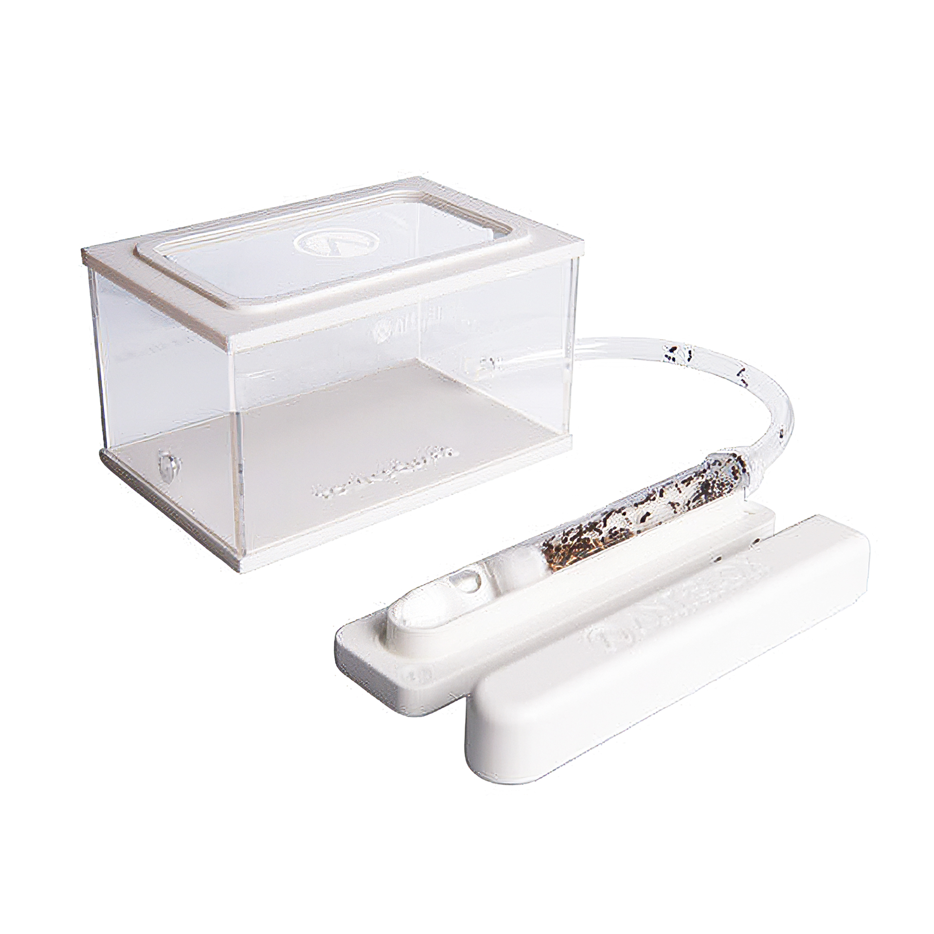 TimeTEX Zuchtset "Ameisen", 4-tlg.