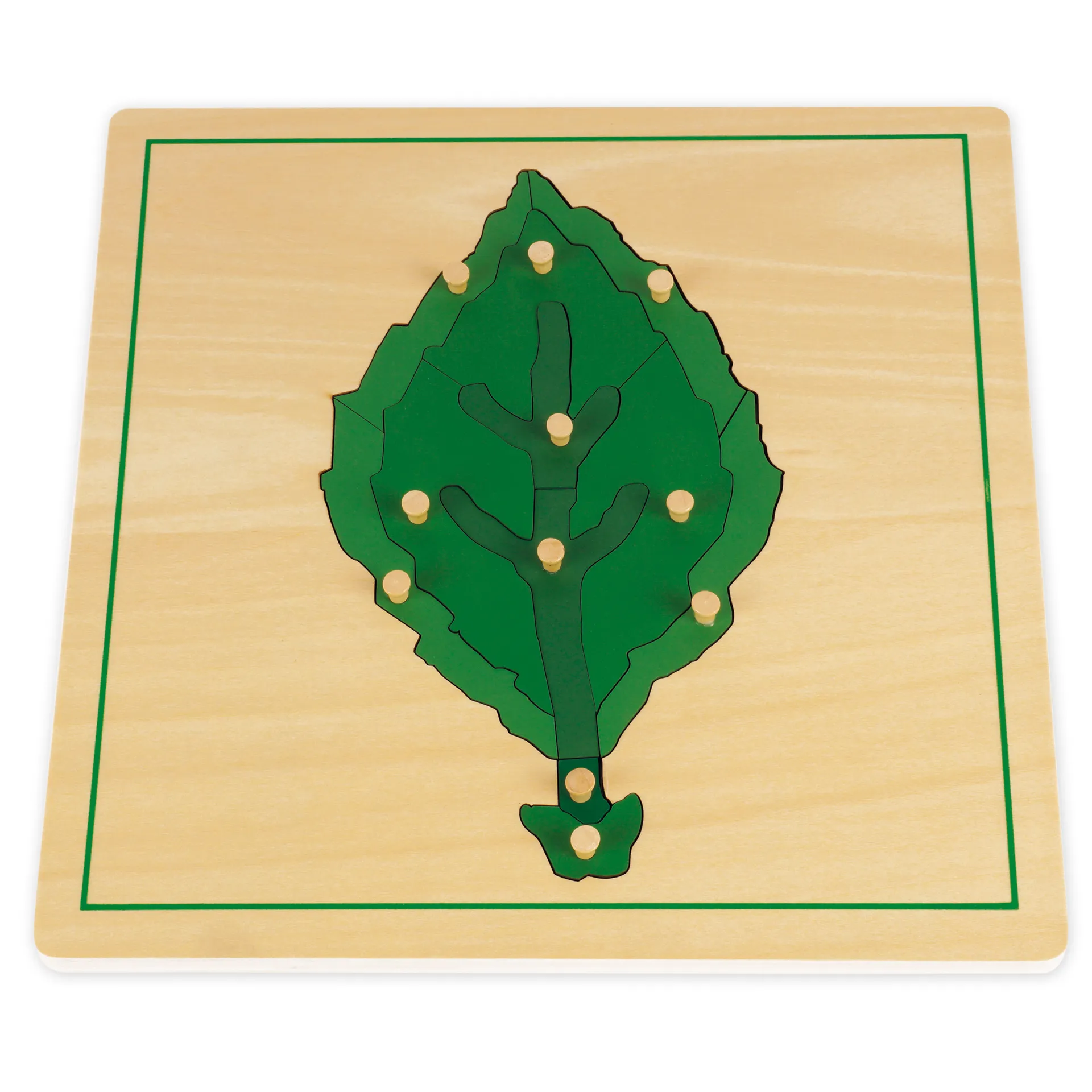 TimeTEX Set Botanische Puzzle mit Kasten "Montessori Premium"