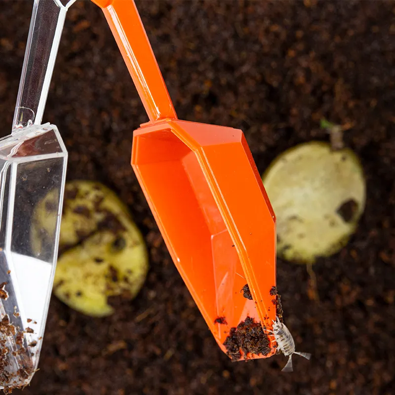 Zuchtset "Asseln", 10-tlg.