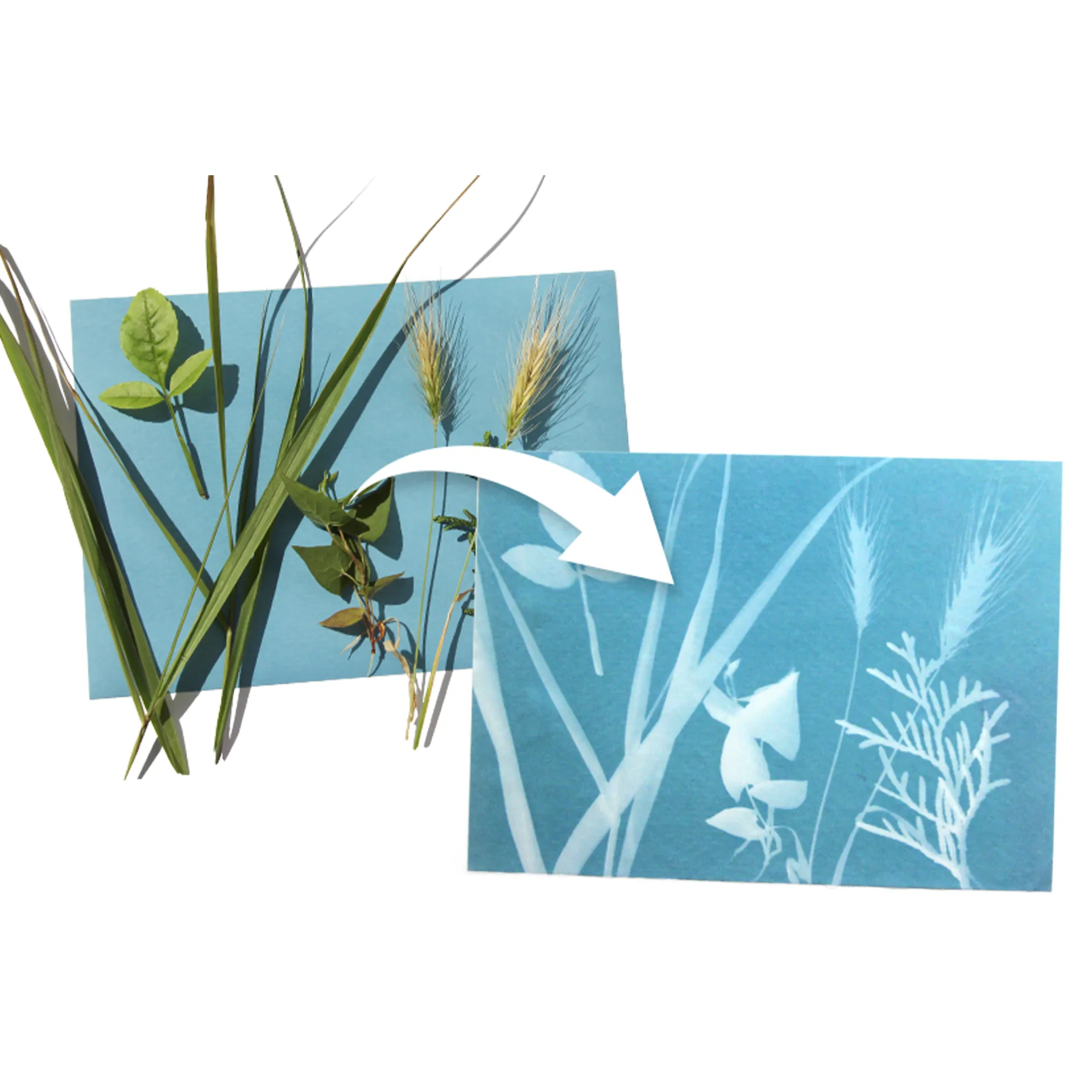 Foto-Solarpapier A5, mit Fixierscheibe, 10 Blatt