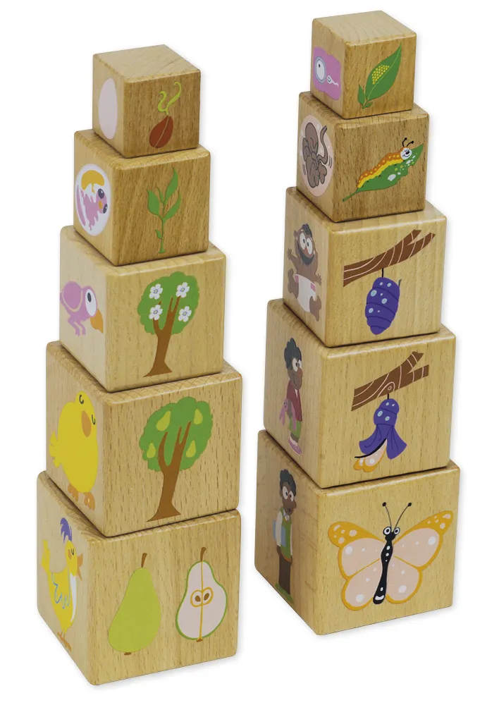 Holzwürfel "Lebenszyklus", 10 Stück