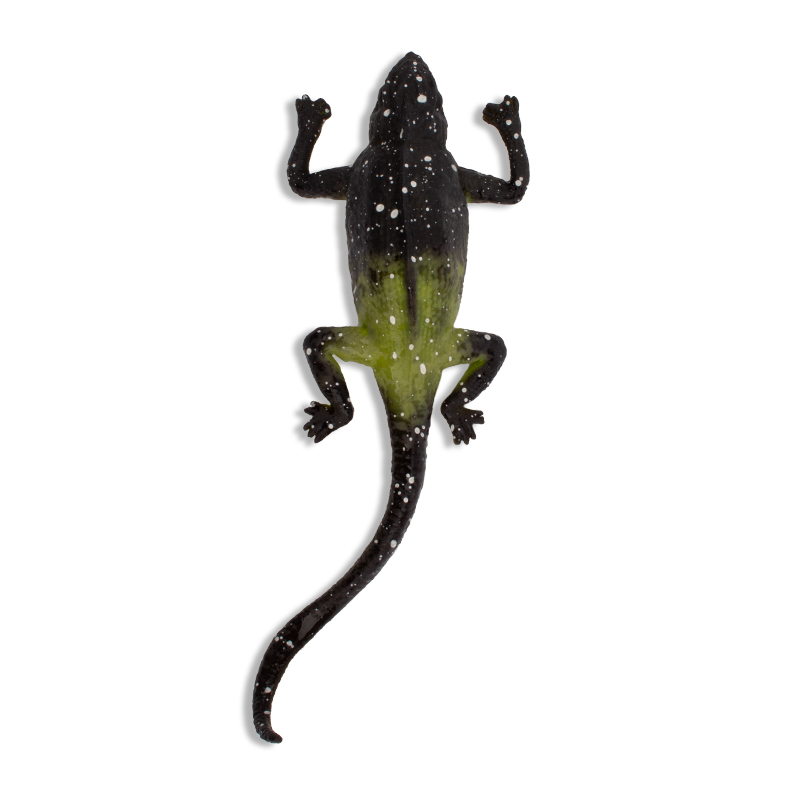 Farbwechselnde Eidechse, 12x5 cm Farbwechselnde Eidechse, 12x5 cm