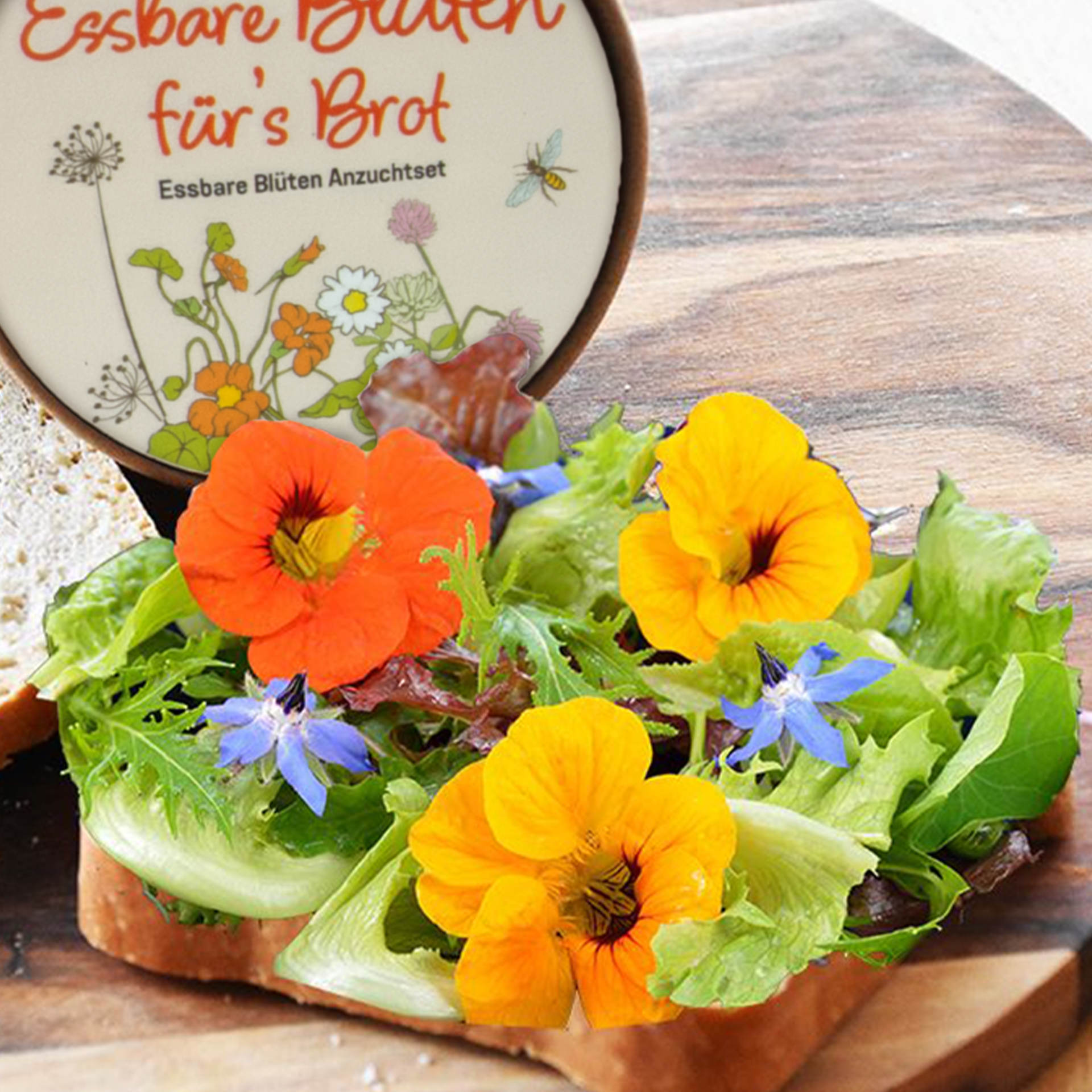 Zuchtset "Butterbrot-Blüten", 4-tlg.