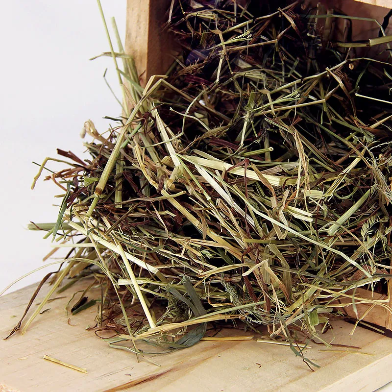 Marienkäfer-Hotel, aus Holz