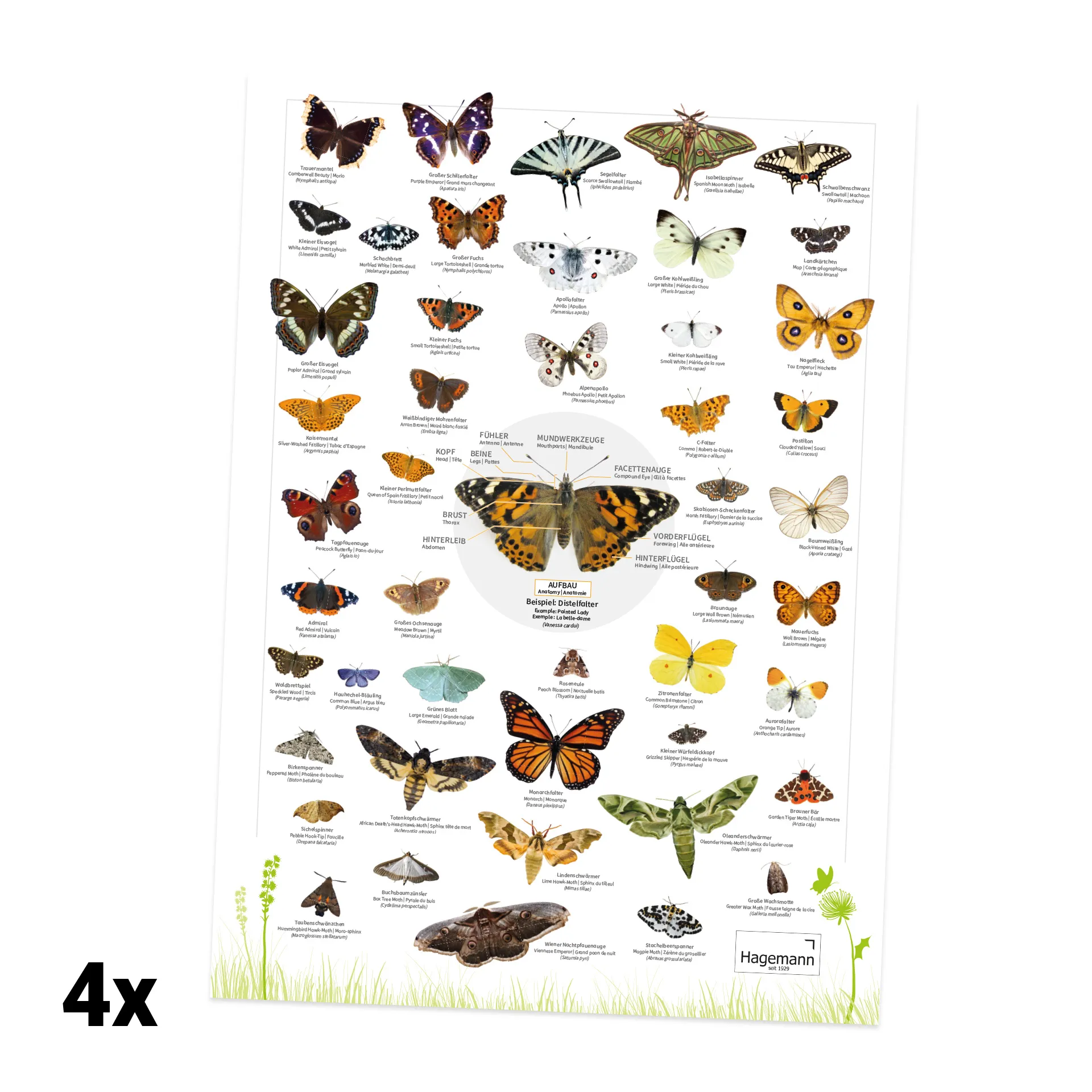 Forscherkoffer "Schmetterlings-Zucht", 46-tlg.