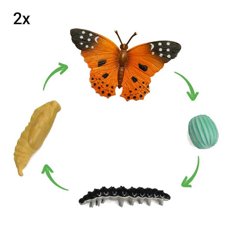 Klassen-Projektset "Schmetterlings-Zucht", 65-tlg.