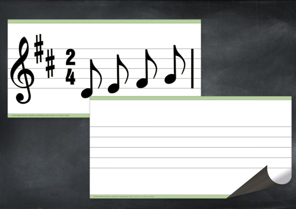 TimeTEX whiteboard demostick magnetisk, 2-delad.