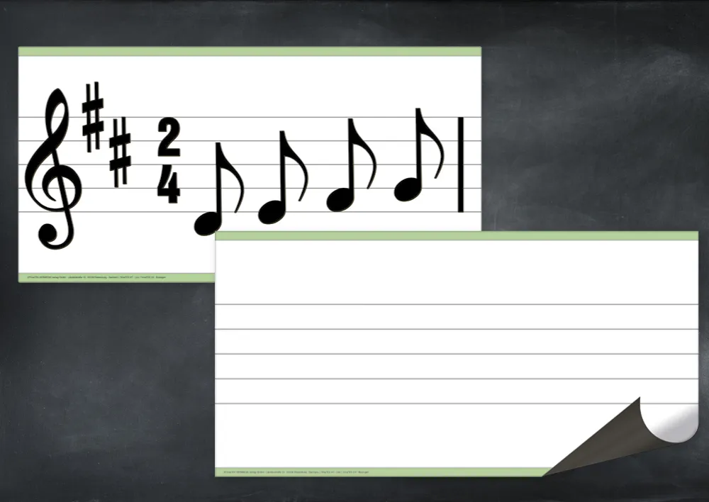 TimeTEX whiteboard demostick magnetisk, 2-delad.