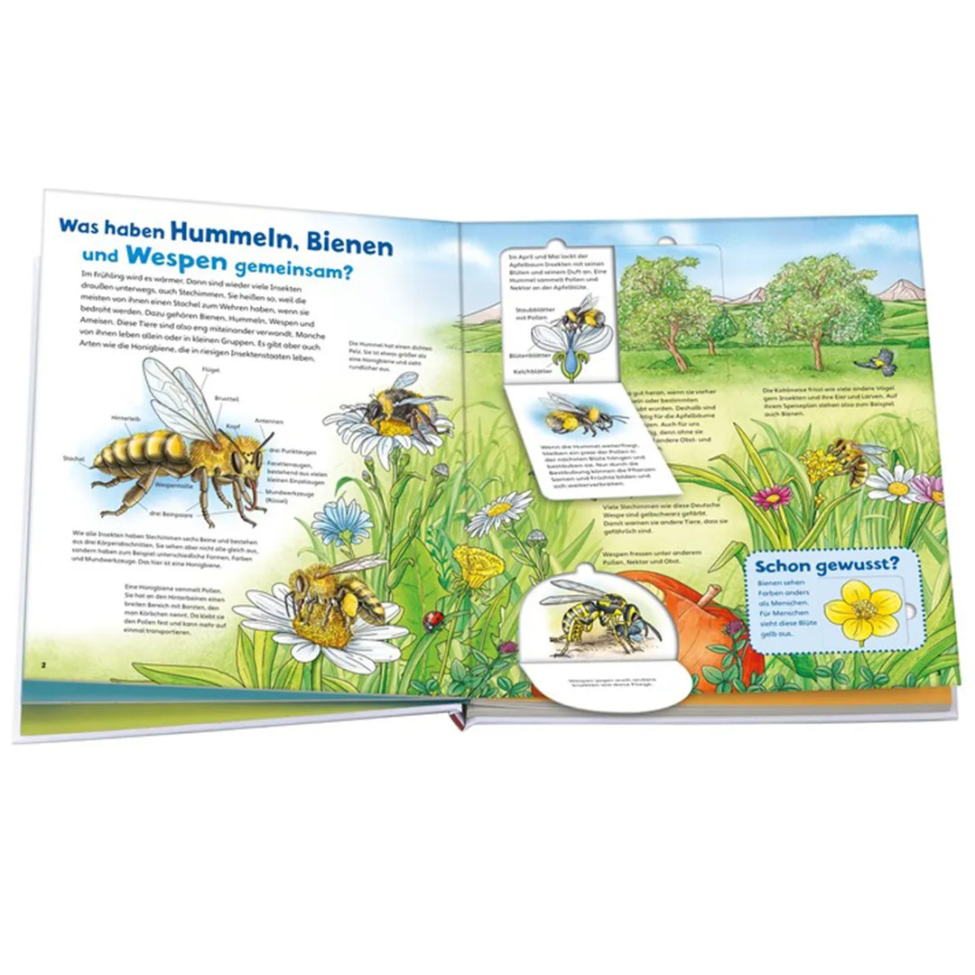 WAS IST WAS Junior Band 34 "Bienen, Wespen, Hummeln", 20 Seiten