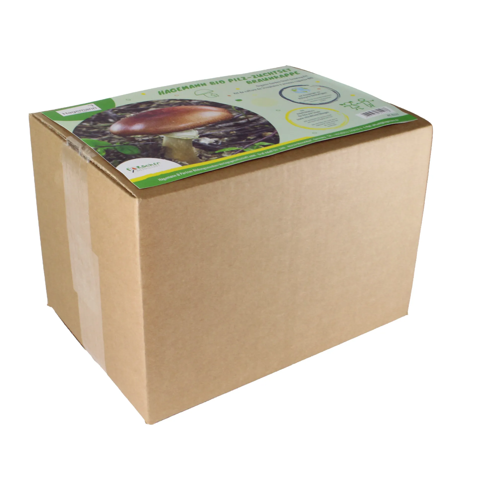 Zuchtset "Braunkappe", Pilze