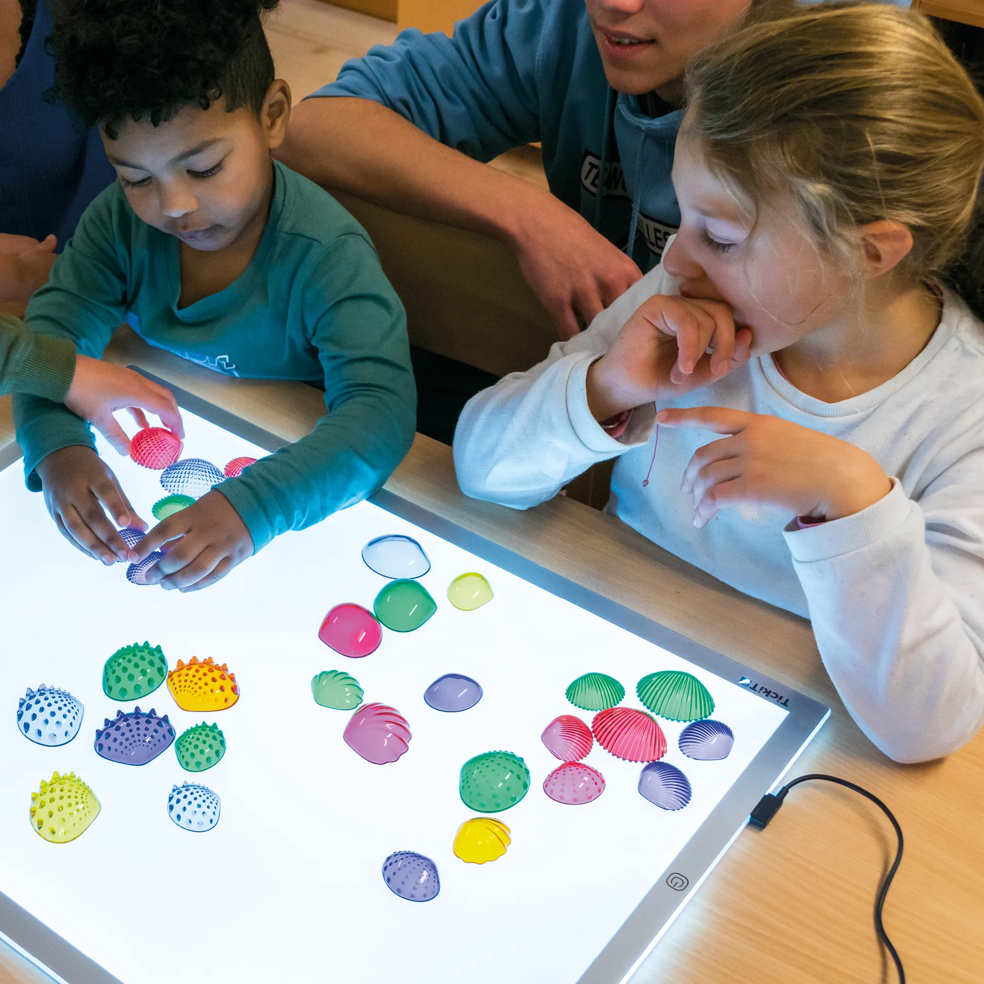 Muschel-Set, transparent und taktil, 108-tlg.