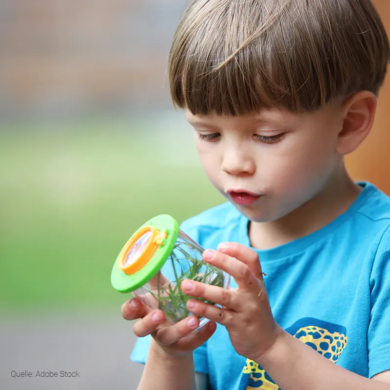 Entdecker-Set "Insekten & Co.", 8-tlg.