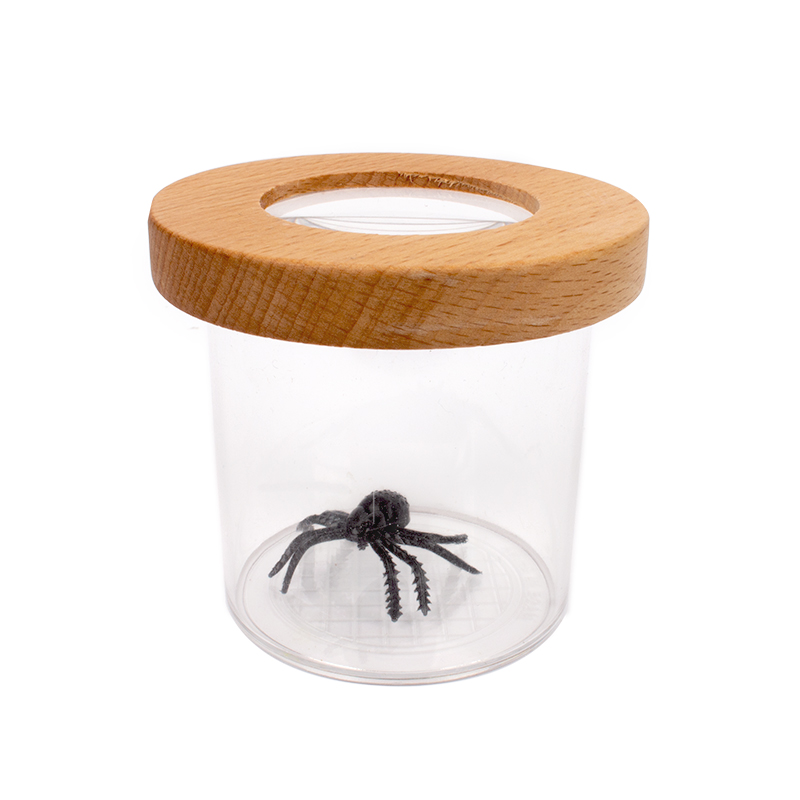 TimeTEX Lupen-Dose mit Holzdeckel "Natur & Digital"