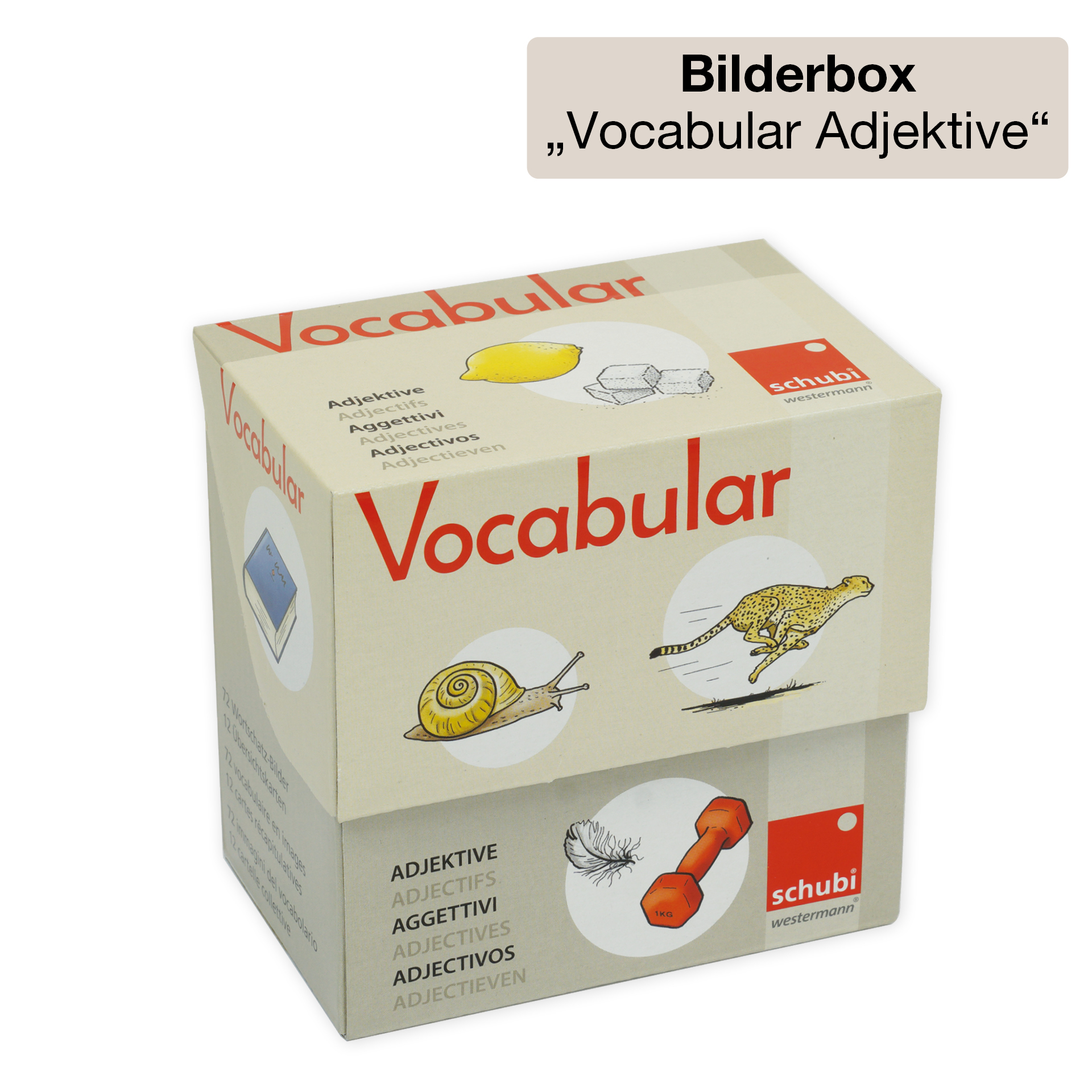 Klassenbox Deutsch - Wortschatzerweiterung & Deutsch als Zweitsprache "Startchancen"
