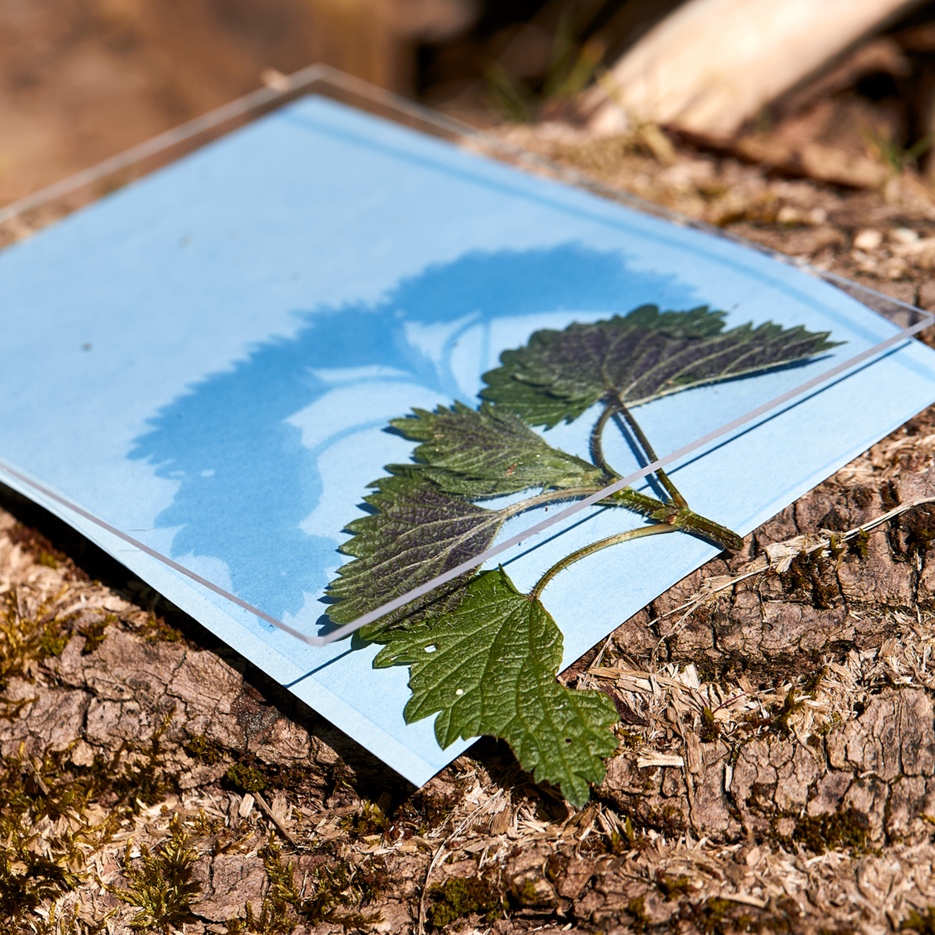 Foto-zonnepapier 178x127 mm, met fixeerschijf, 40 vellen