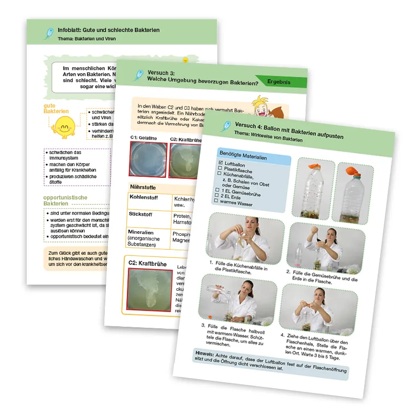Experimentier-Box "Bakterien und Viren", 12-tlg.