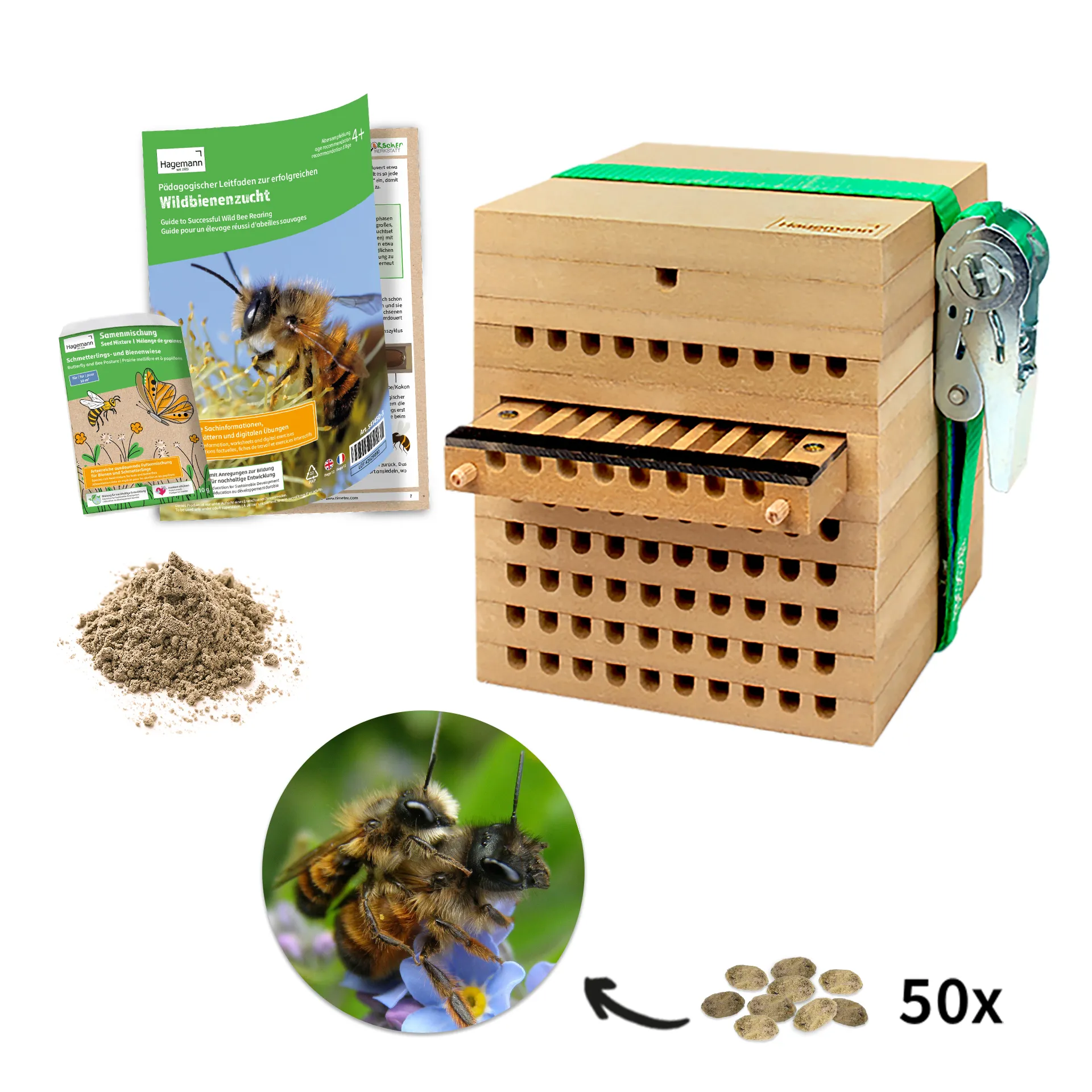 Zuchtset "Wildbienen mit Kokons", Gehörnte Mauerbiene, 5-tlg.