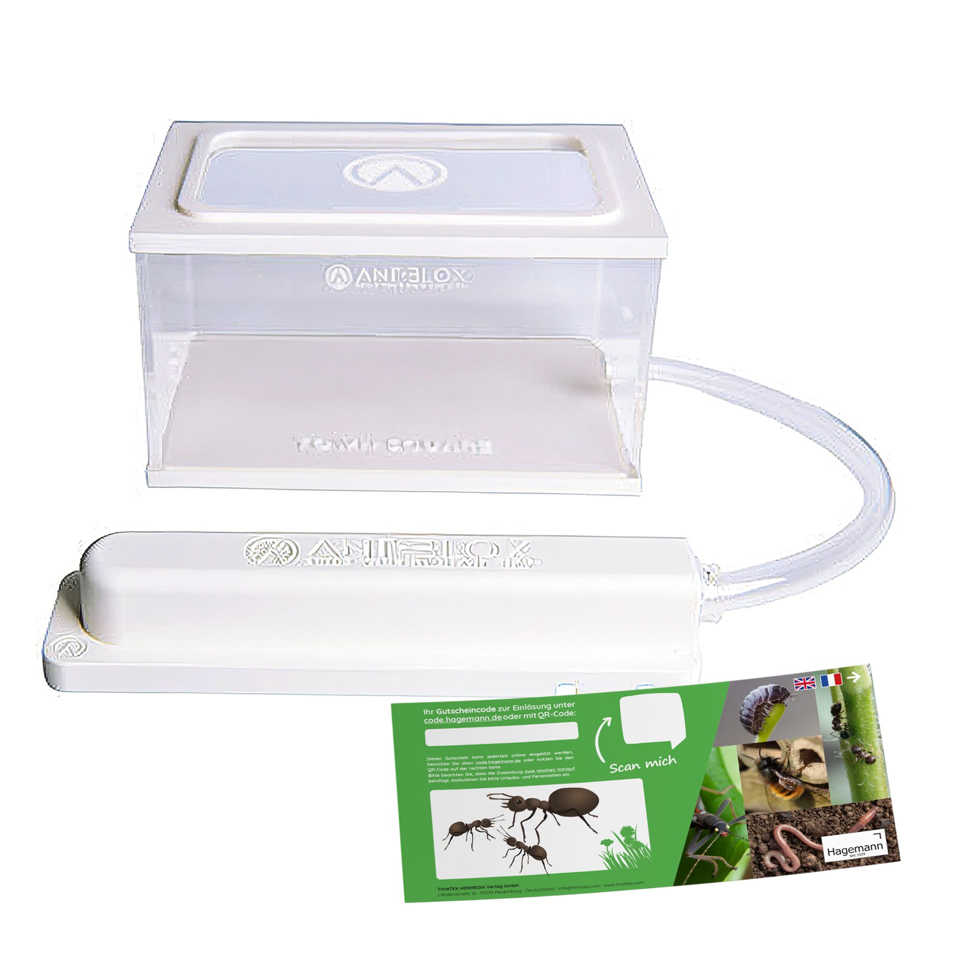 Gutschein-Set "Ameisen", 4-tlg.