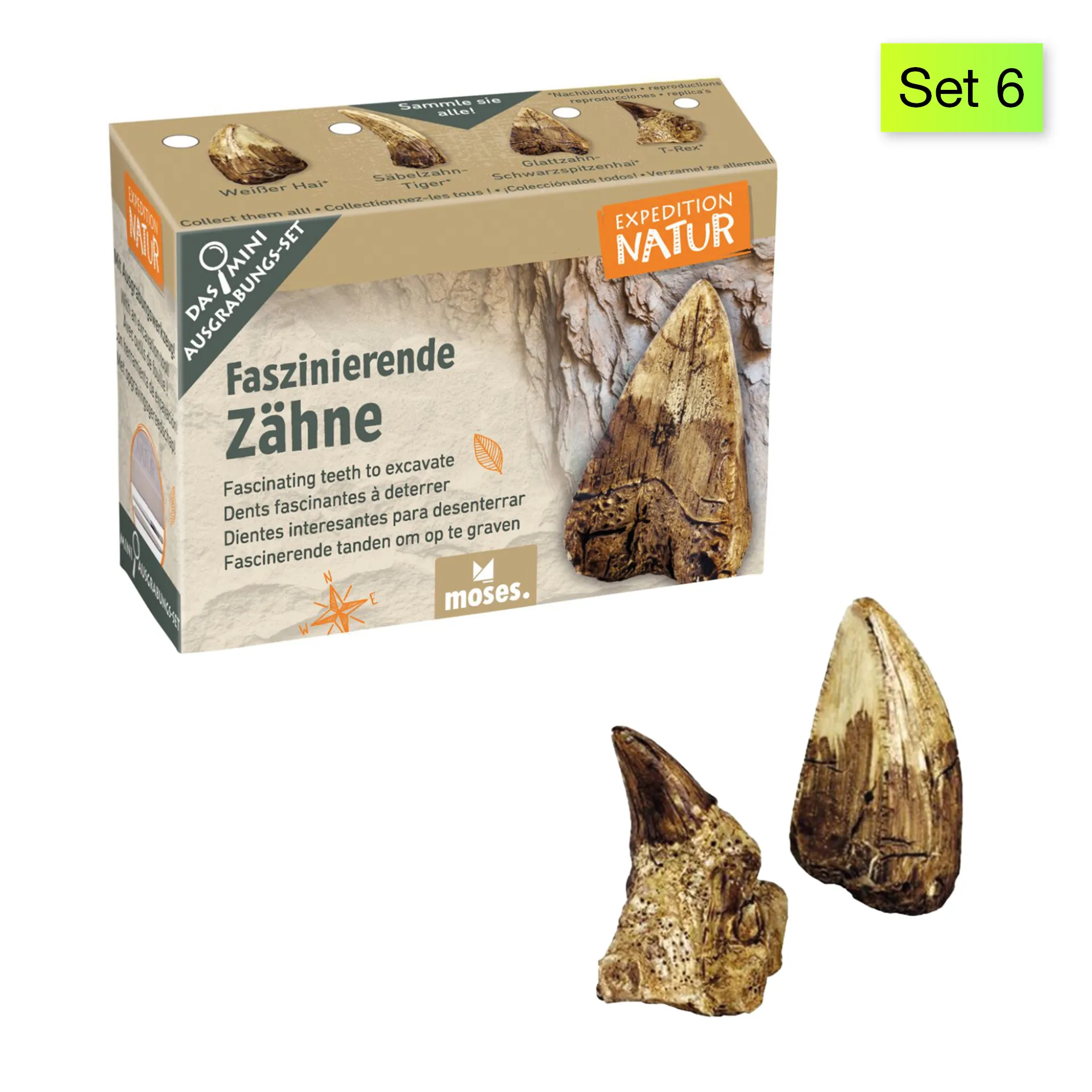 Ausgrabungs-Set "Schatzsuche", klein