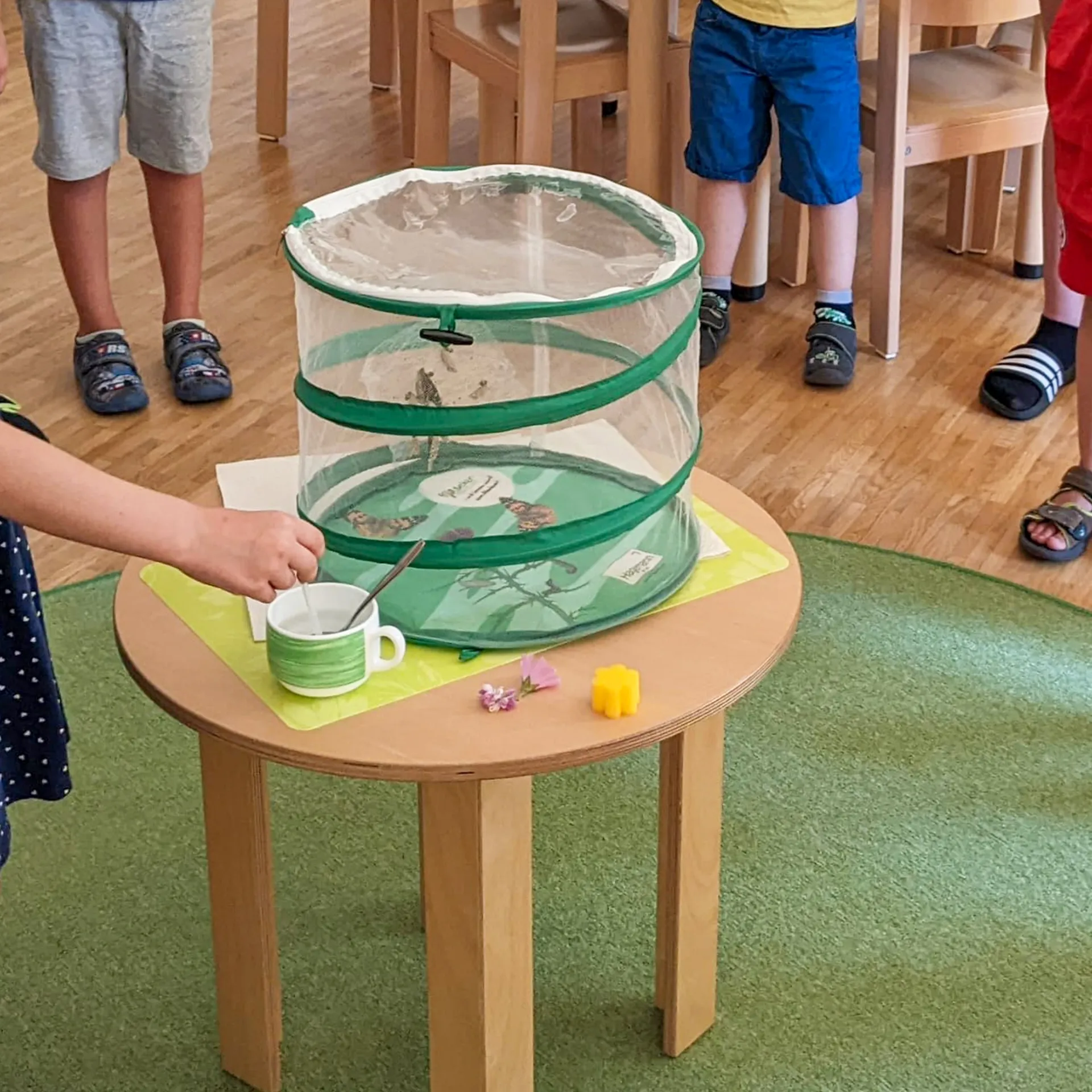 Klassen-Projektset "Tiere züchten + beobachten", 40-tlg.