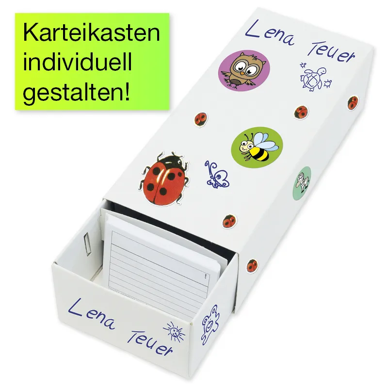 Lernkartei-Kasten A8 Pappe mit 100 Lernkärtchen