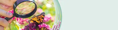 Startseite Mobil Interessantes_Forscher