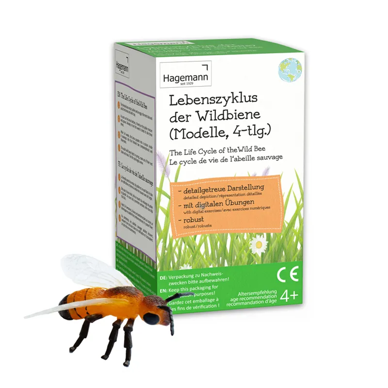 Lebenszyklus-Modell "Wildbiene", 4-tlg.