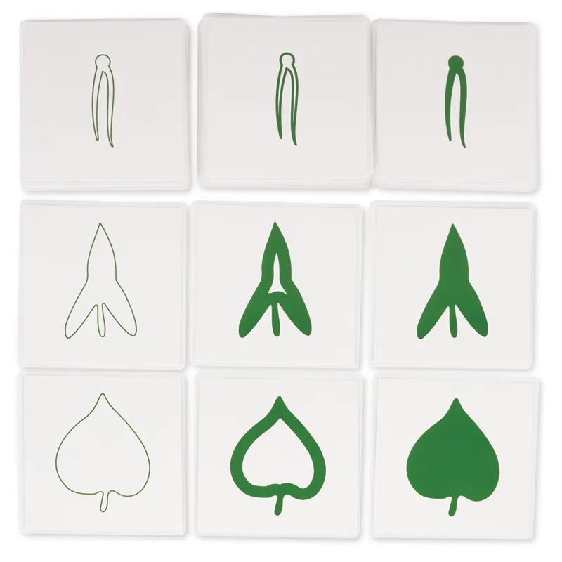 TimeTEX Botanical Card Set "Montessori Premium"