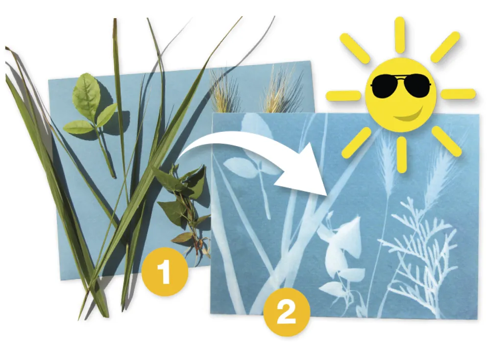 Foto-Solarpapier mittel, 27,9x21,6 cm, 25 Blatt