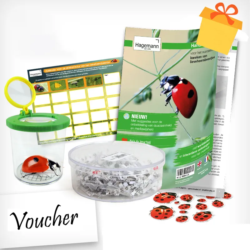 Kweekset lieveheersbeestjes, 5-delige set