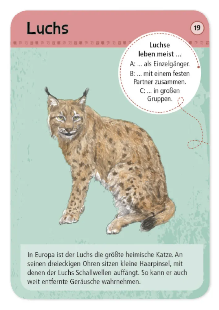 50 Wald- & Wildtiere entdecken und bestimmen