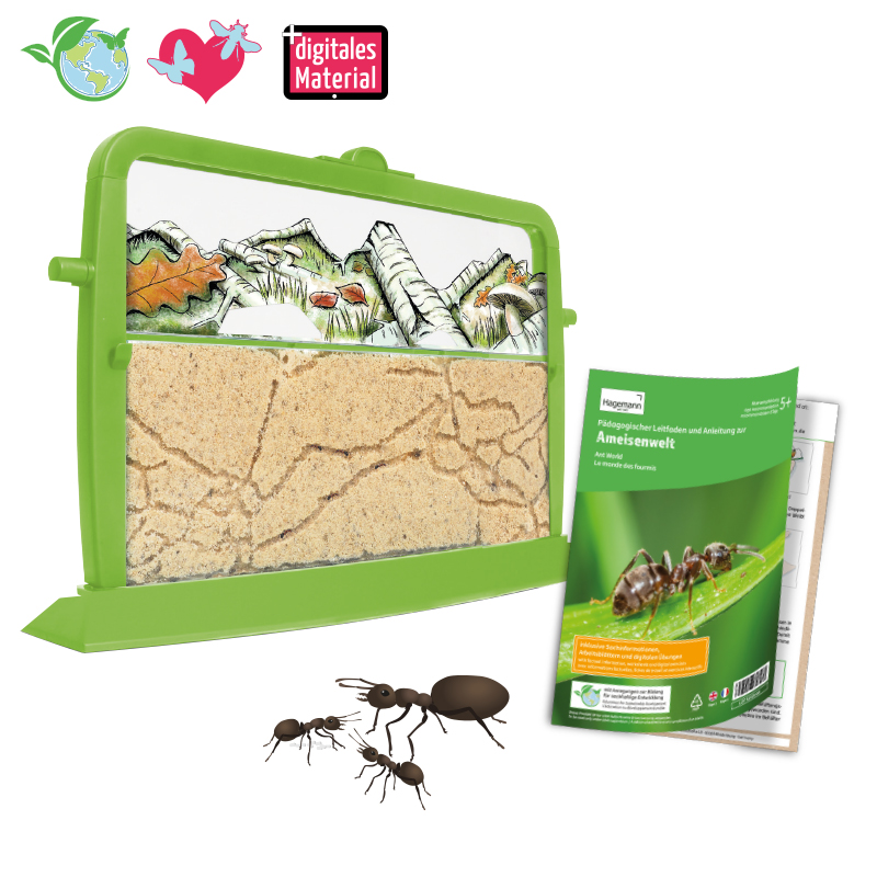 Zuchtset "Ameisen", 4-tlg.