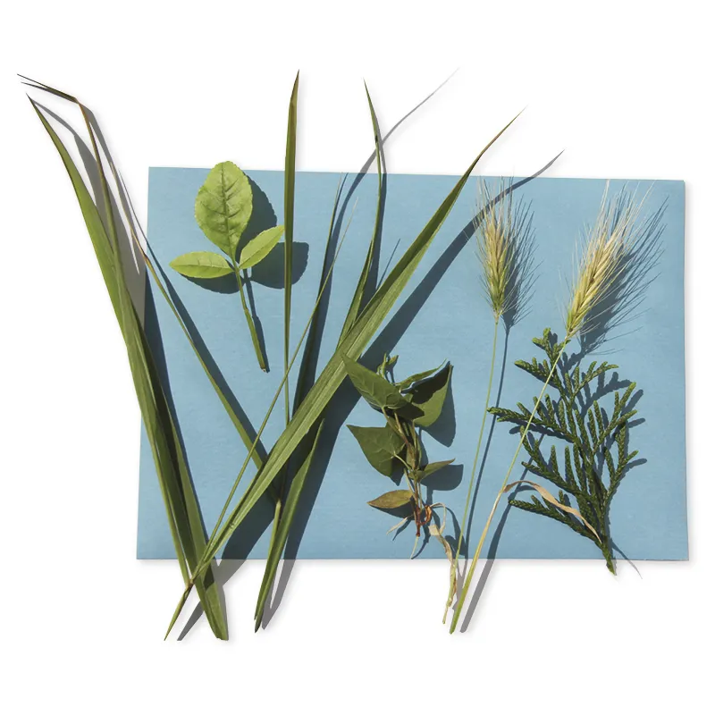 Foto-Solarpapier mit Fixierscheibe, 40 Blatt