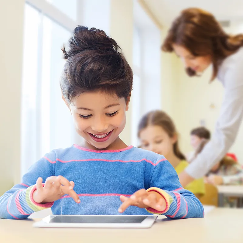 Lernspiel-Würfel "Lebenszyklus Schmetterlinge & Co.", 5-tlg.