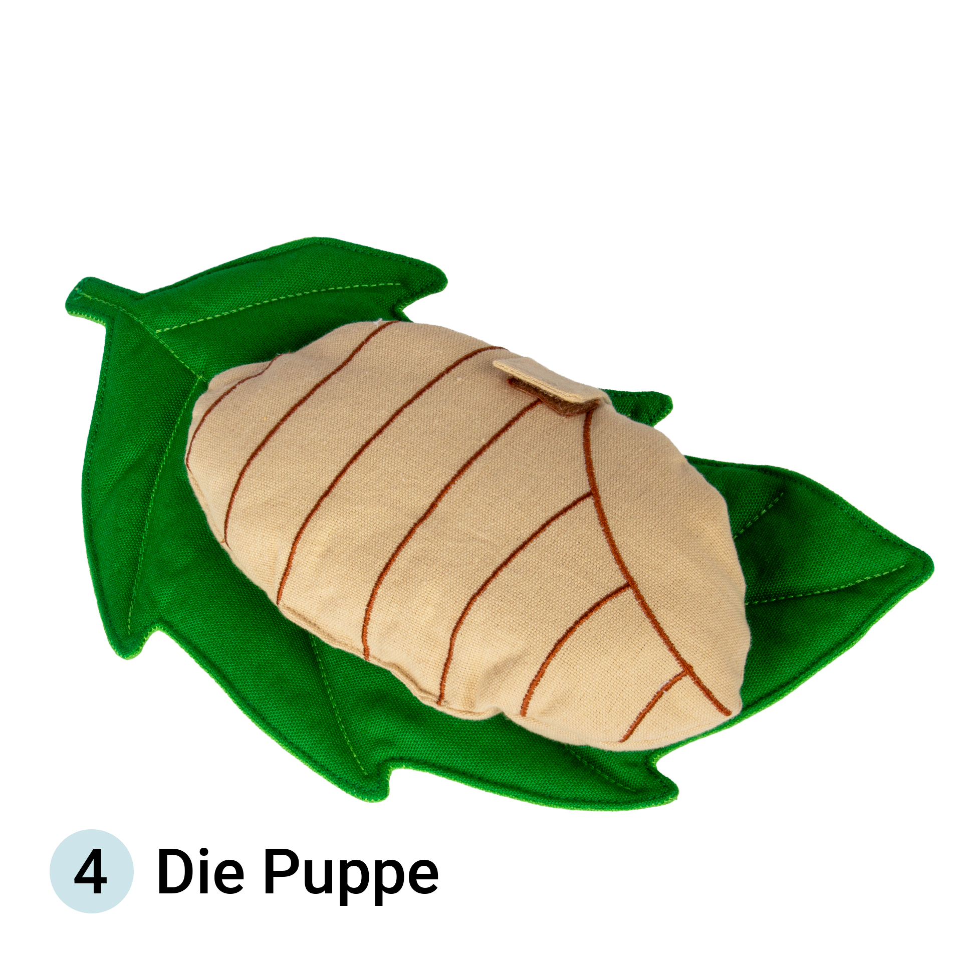 Levenscyclus vlinder, stoffen model, 3-delig