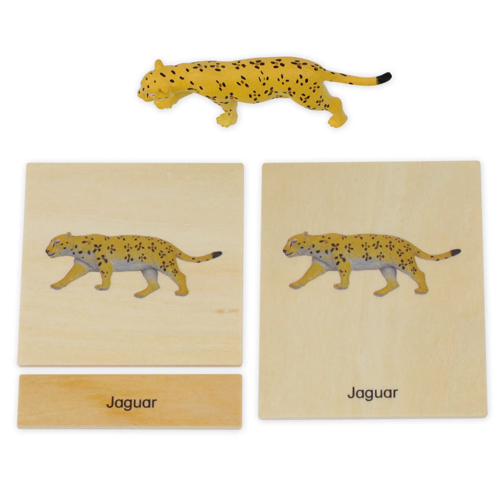 TimeTEX Mini-Tiere-Set Südamerika "Montessori Premium"