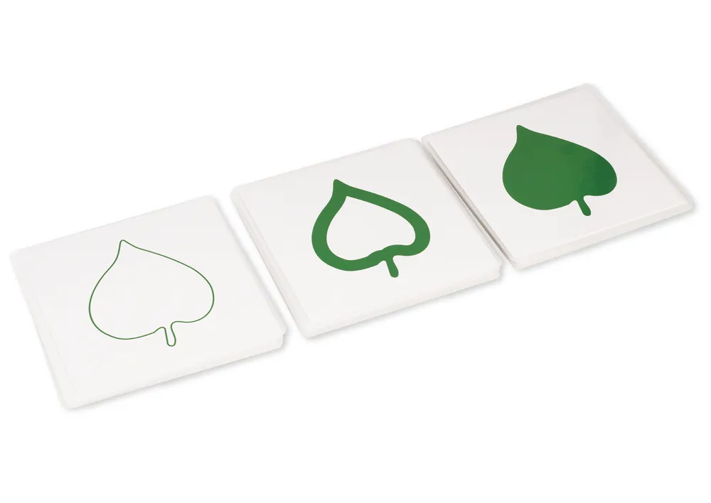 TimeTEX botanisk kortsæt "Montessori Premium"