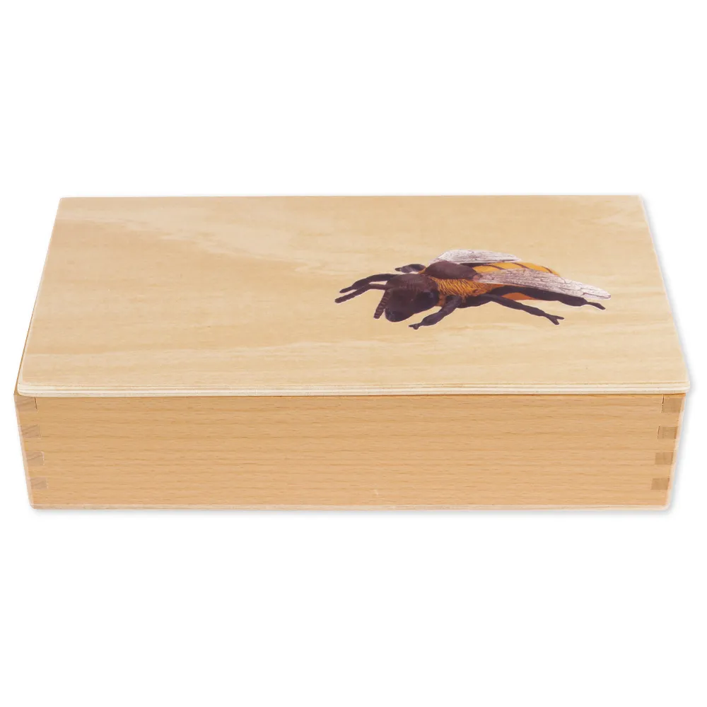 TimeTEX - Ciclul de viață la albinele melifere, în cutie din lemn "Montessori Premium"